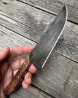 Western Mini-Chef's Knife — Ambrosia Maple & Brass