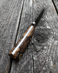 Survival Scout Knife — Spalted Maple & Brass