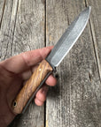 Mountain Scout Knife — Zebrawood & Brass