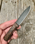 Survival Scout Knife — Feathered Walnut & Brass