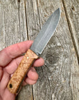 Survival Scout Knife — Maple Burl & Brass