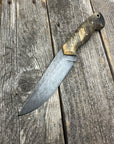 Prometheus Hunter — Buckeye Burl & Brass