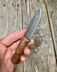 Survival Scout Knife — Maple Root & Brass