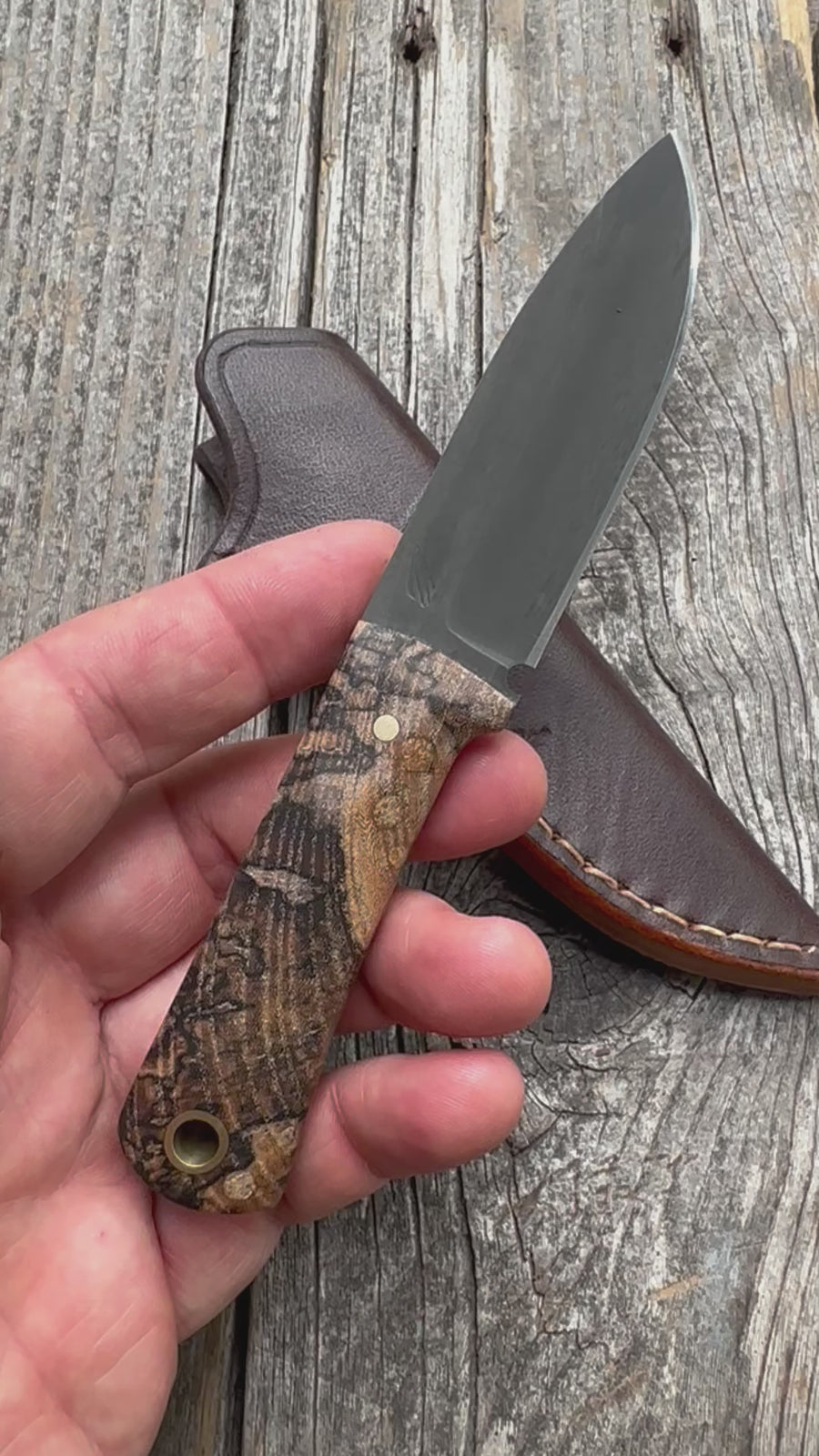 Survival Scout Knife — Spalted Maple & Brass