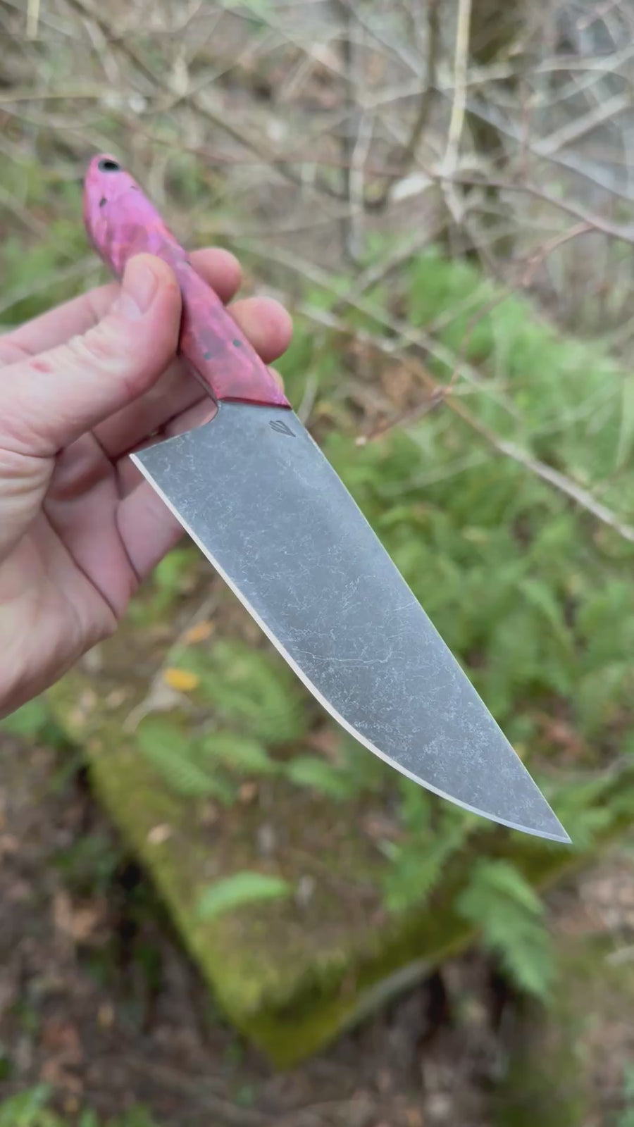 Western Mini-Chef's Knife — Dyed Maple Burl & Linen